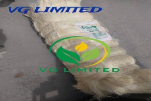 SISAL FIBER ( UG and SSUG GRADES) from Tanzania